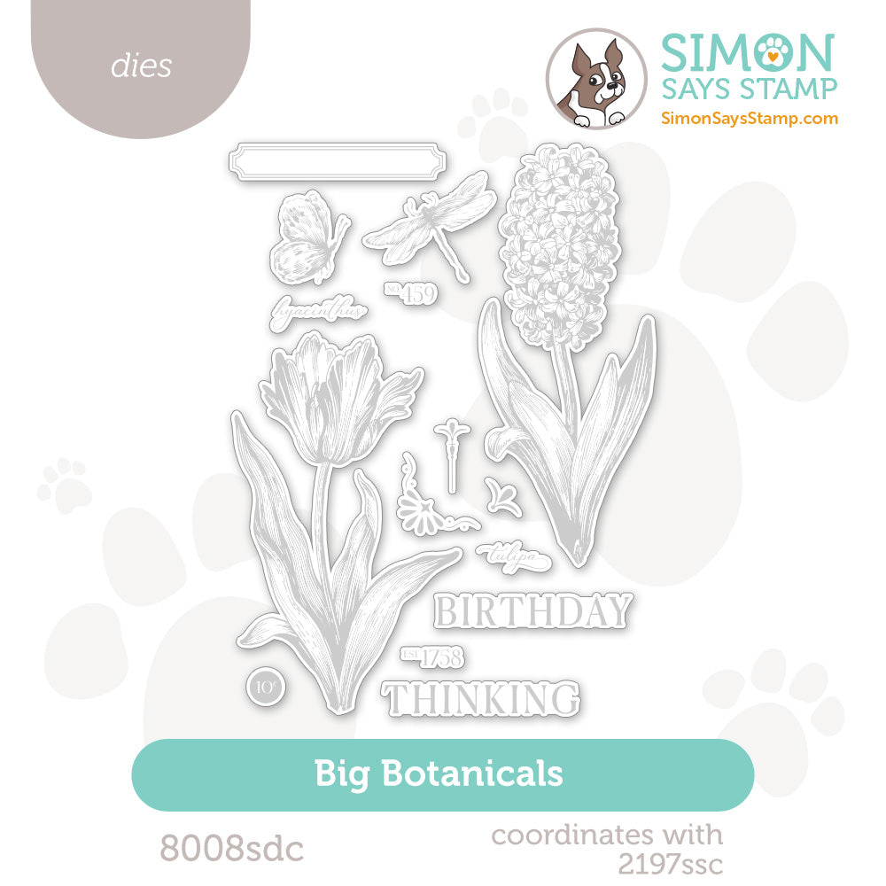 Simon Says Stamp Big Botanicals Wafer Dies 8008sdc You Are My Favorite