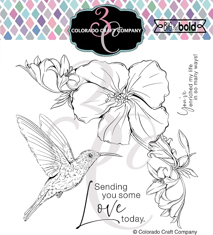 Colorado Craft Company Big and Bold HIBISCUS HUMMINGBIRD Clear Stamps BB509
