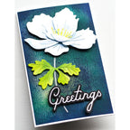 Memory Box Graceful Anemone Dies 94764 greetings