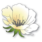 Memory Box Anemone Bloom Dies 94766