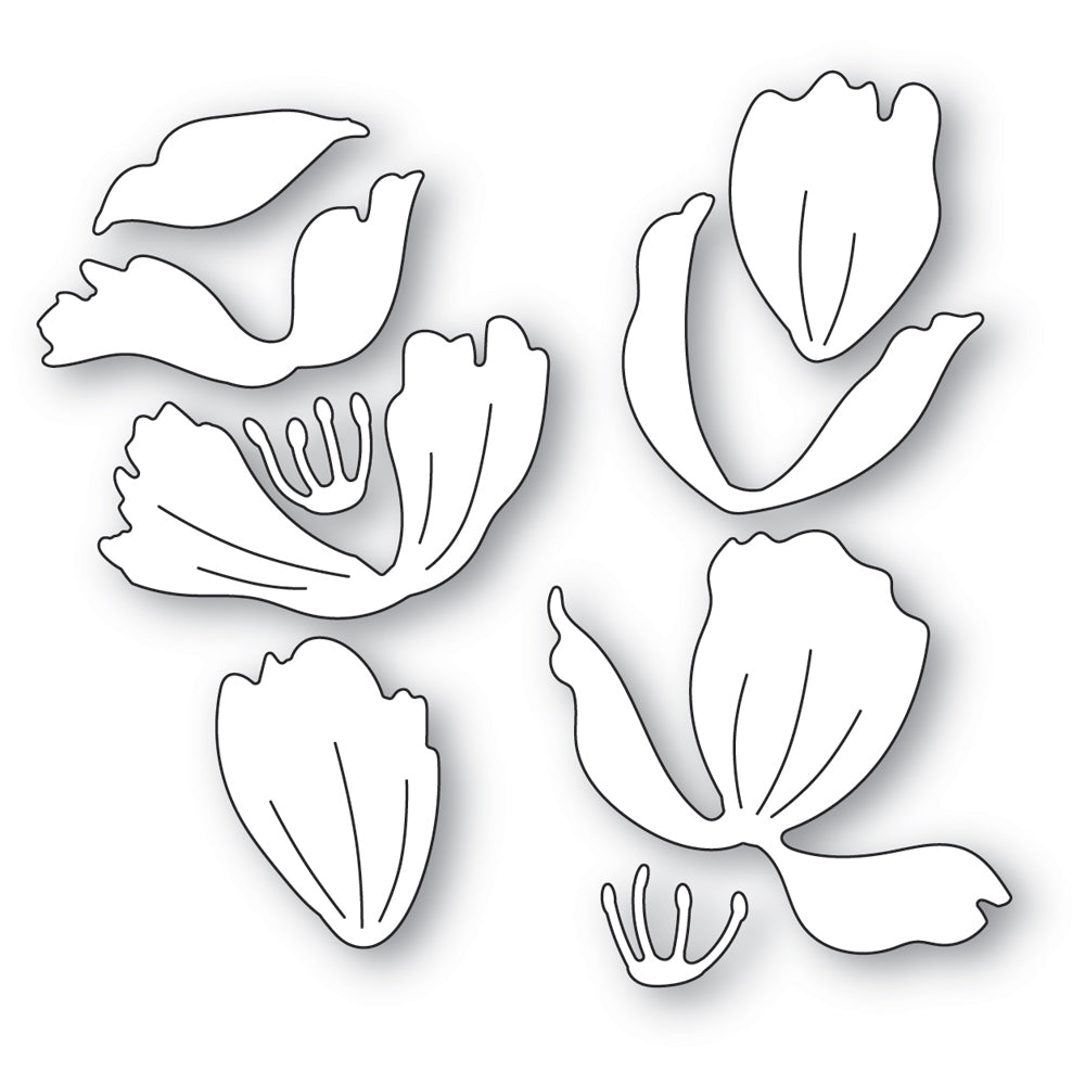 Memory Box Anemone Blooms Dies 94768 line art
