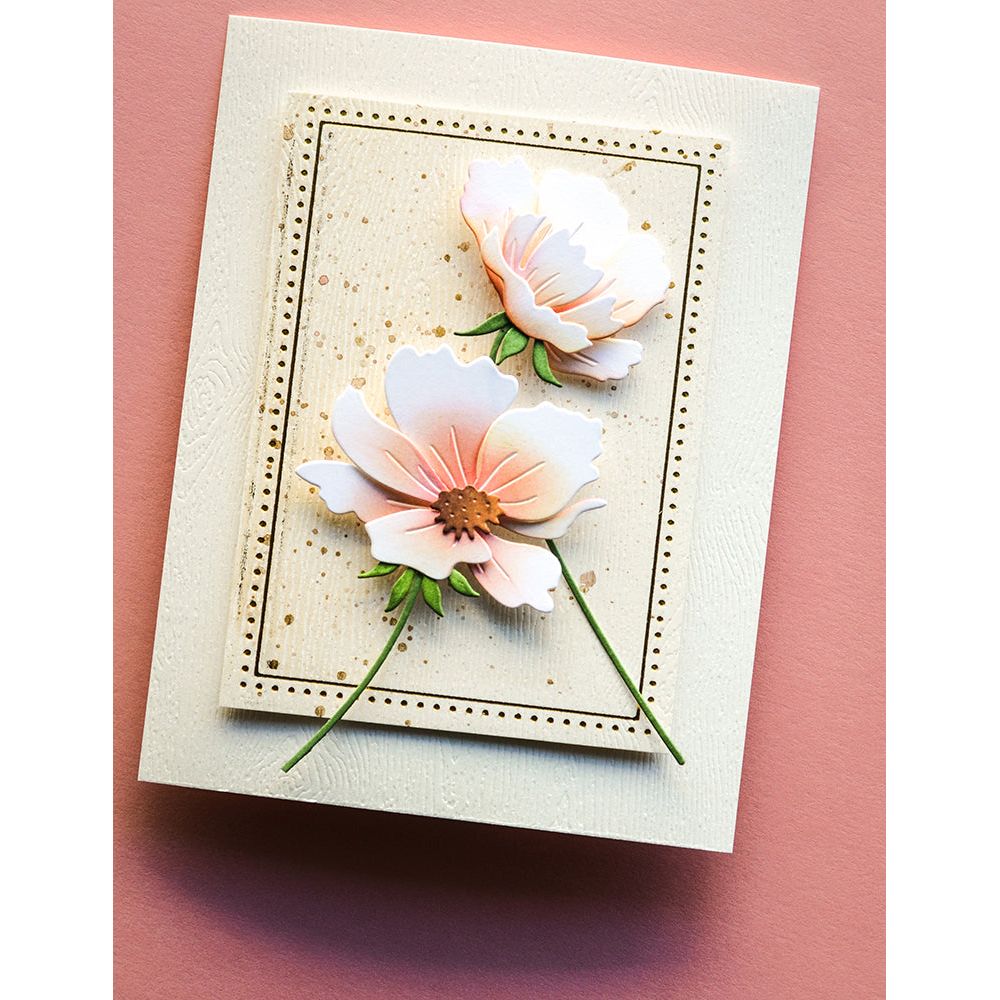 Memory Box Elegant Anemone Dies 94769 blooms