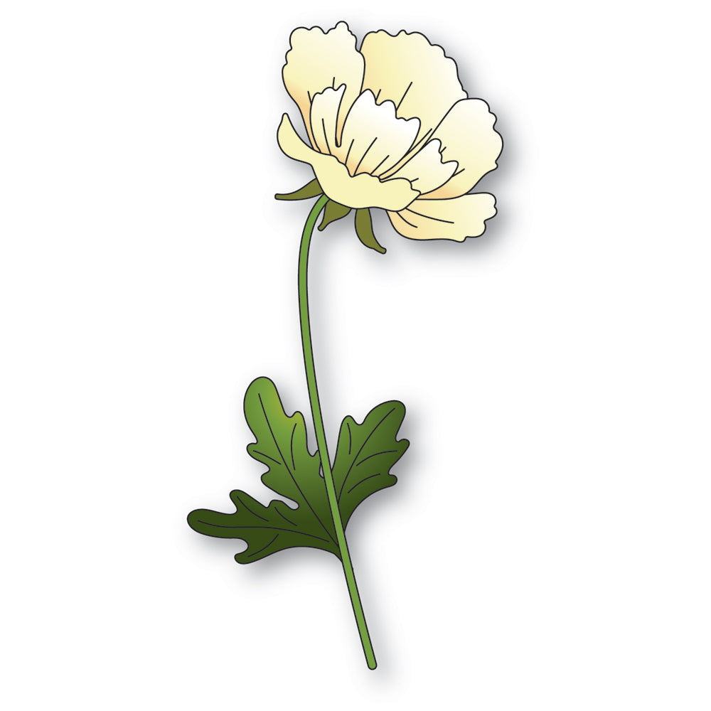 Memory Box Elegant Anemone Dies 94769