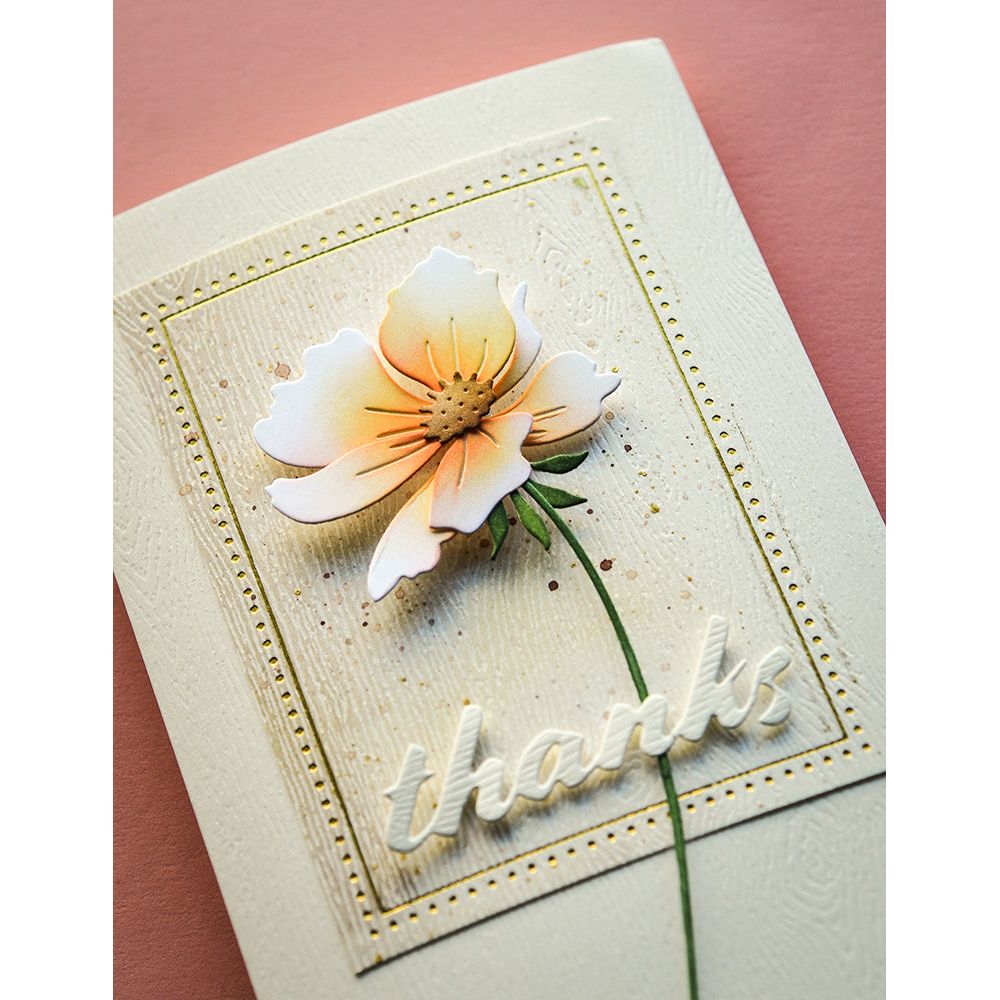 Memory Box Rectangle Dot Border Hot Foil Plate mbf010 thanks