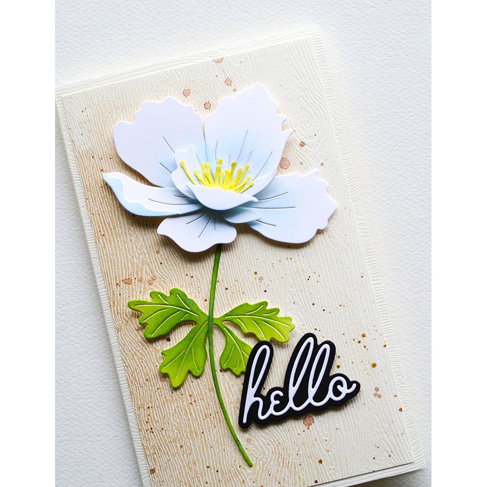 Memory Box Hello Debut Script Dies 94772 bloom