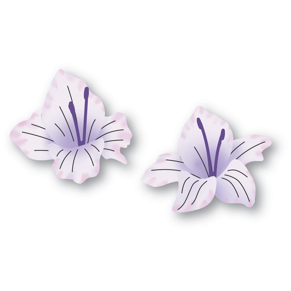 Memory Box Gladiola Floral Duo