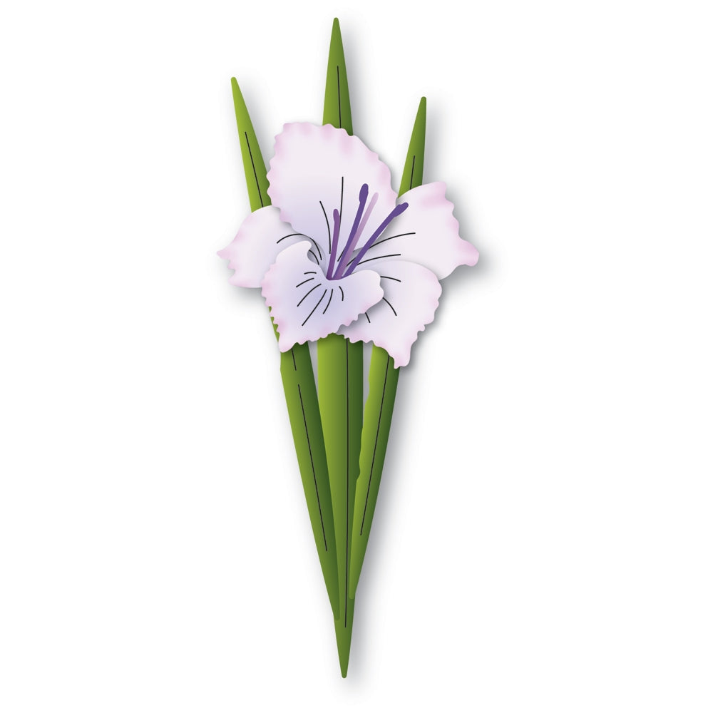 Memory Box Gladiola Blossom and Leaves Dies 94795