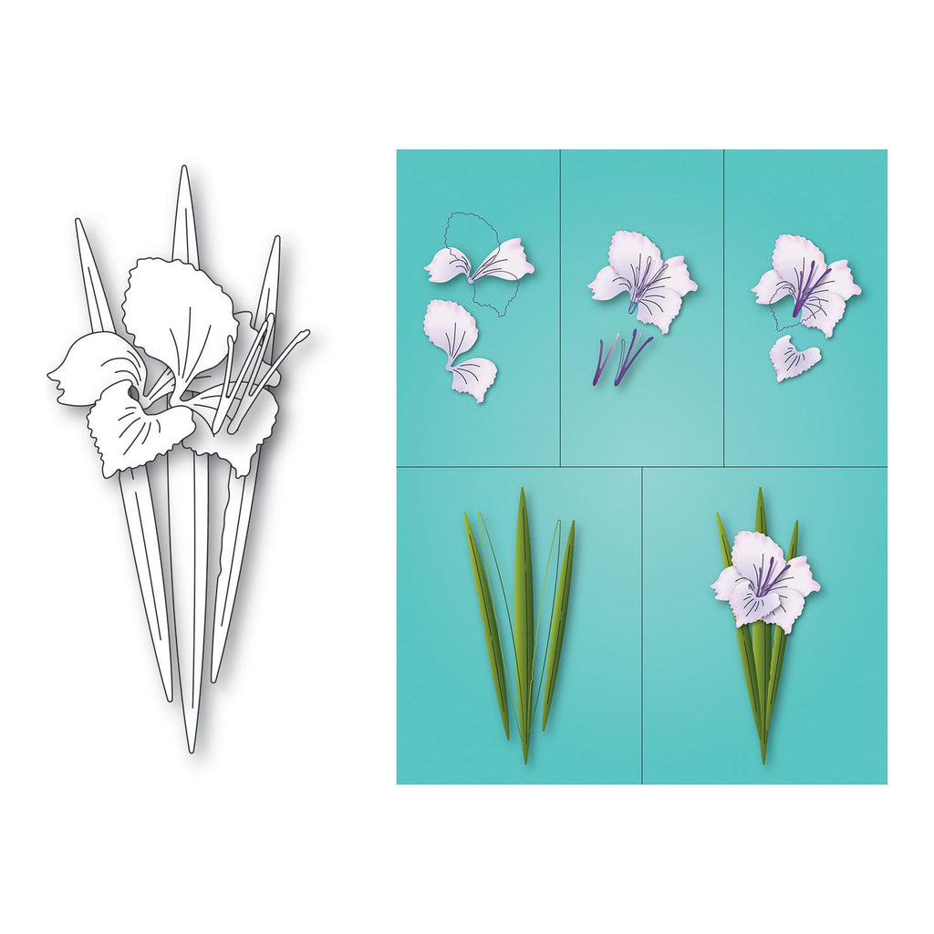 Memory Box Gladiola Blossom and Leaves Dies 94795 pieces