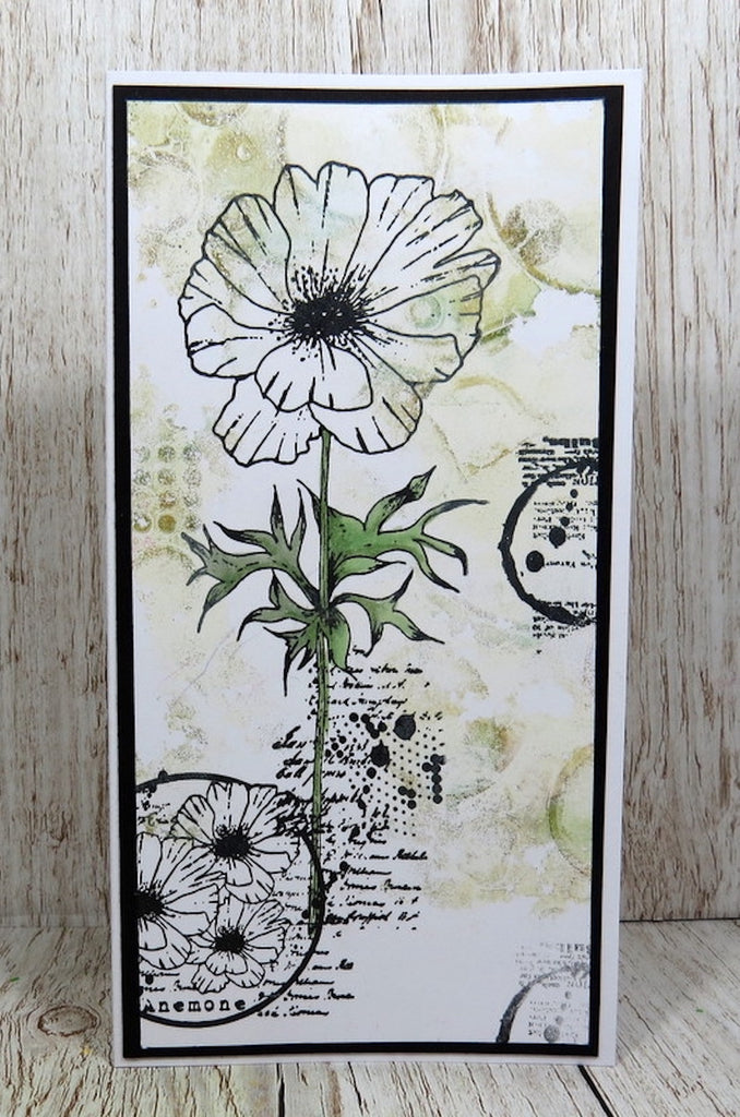 AALL & Create Anemone A6 Clear Stamps aall980 single floral card