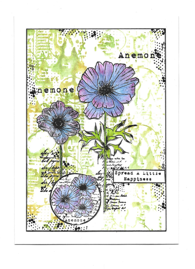 AALL & Create Anemone A6 Clear Stamps aall980 spread happiness card