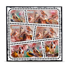 AALL & Create Bird Feast Layer it up Washi Tape mt-154 birds on birdhouse pink flowers freedom thrive respect