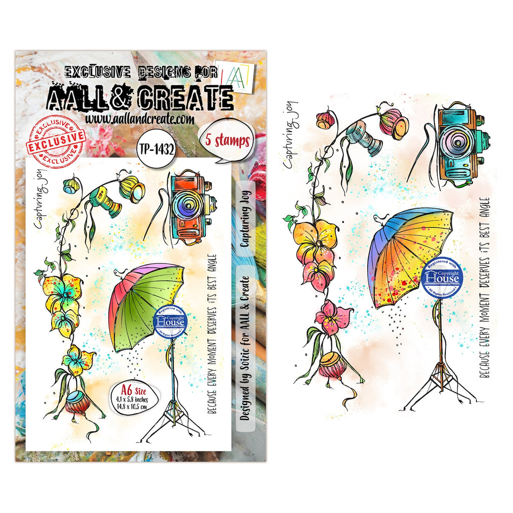AALL & Create Capturing Joy A6 Clear Stamp Set 1432
