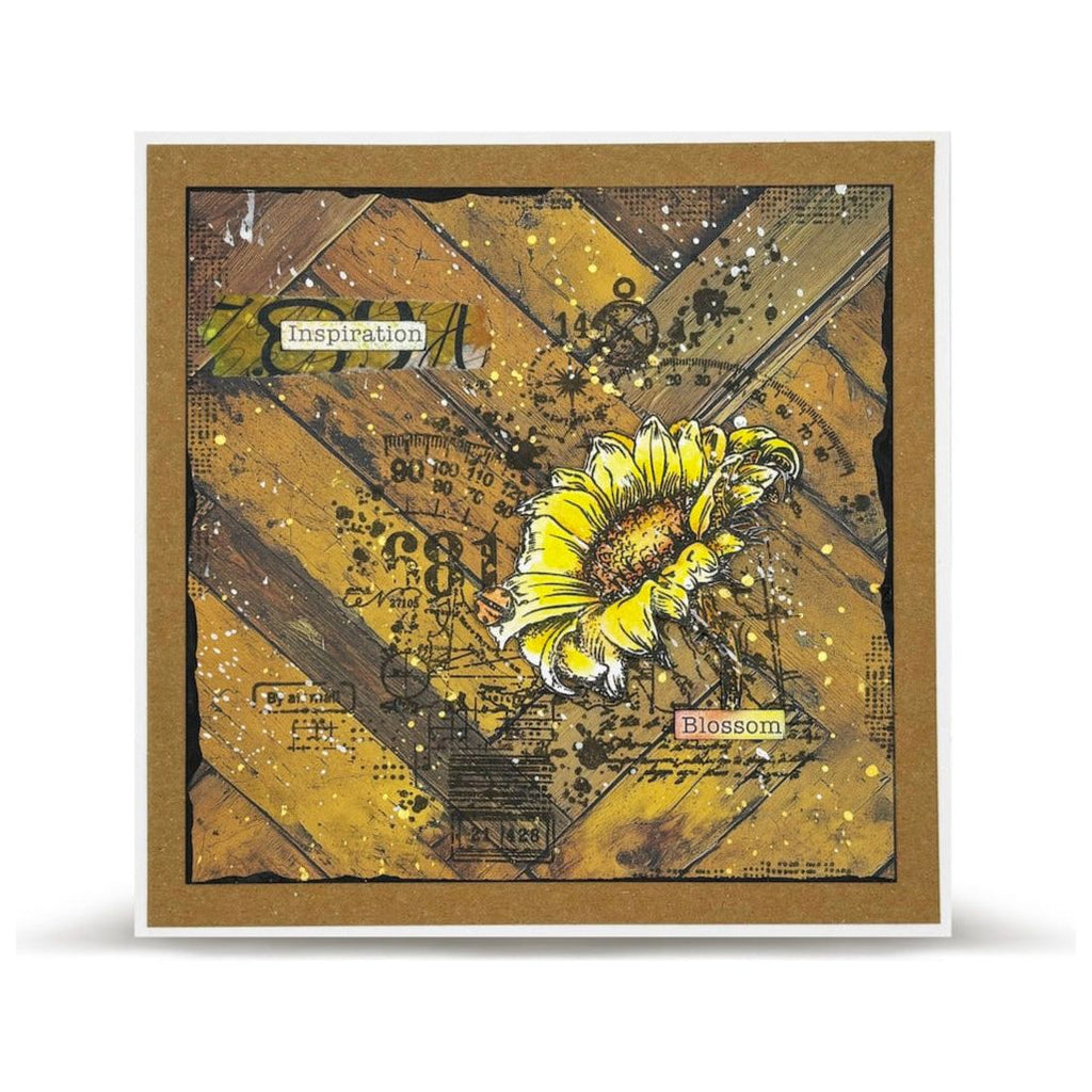 AALL & Create Distressed Dreams Timber Tints Design A5 Paper pa026 inspiration