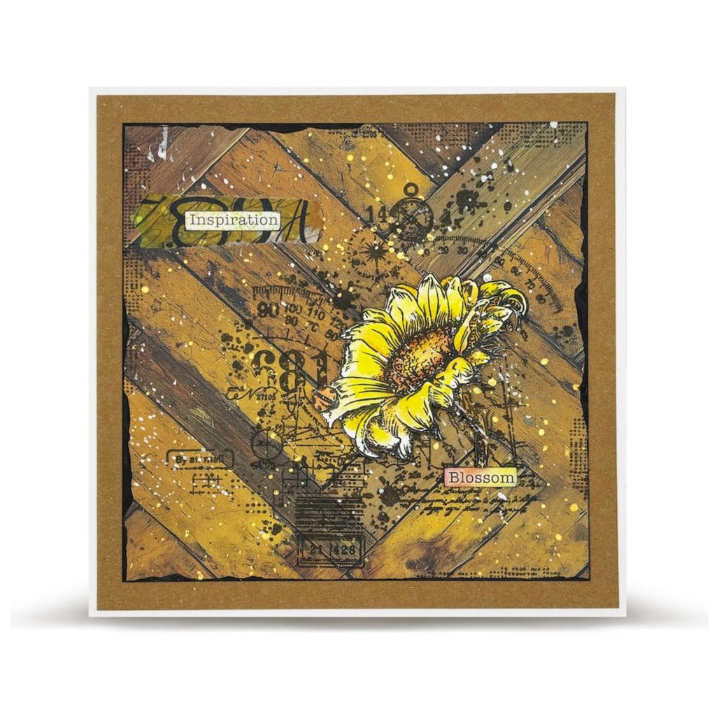 AALL & Create Distressed Dreams Timber Tints Design A5 Paper pa026 inspiration