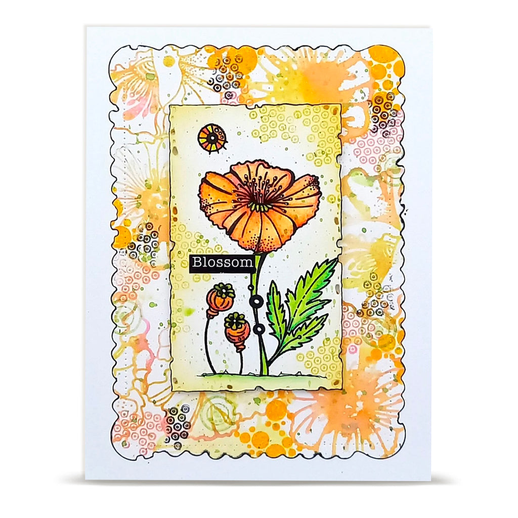AALL & Create Lovely Coquelicots A6 Clear Stamp Set 1479 orange flower blossom card