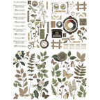Arden Creative Studio Laser Cuts acslc0002 detail
