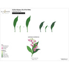 Altenew Craft A Flower Lily of the Valley Layering Dies alt10822