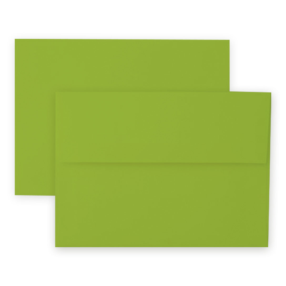 Altenew Crafty Necessities Parrot Envelopes 12 pack alt8891