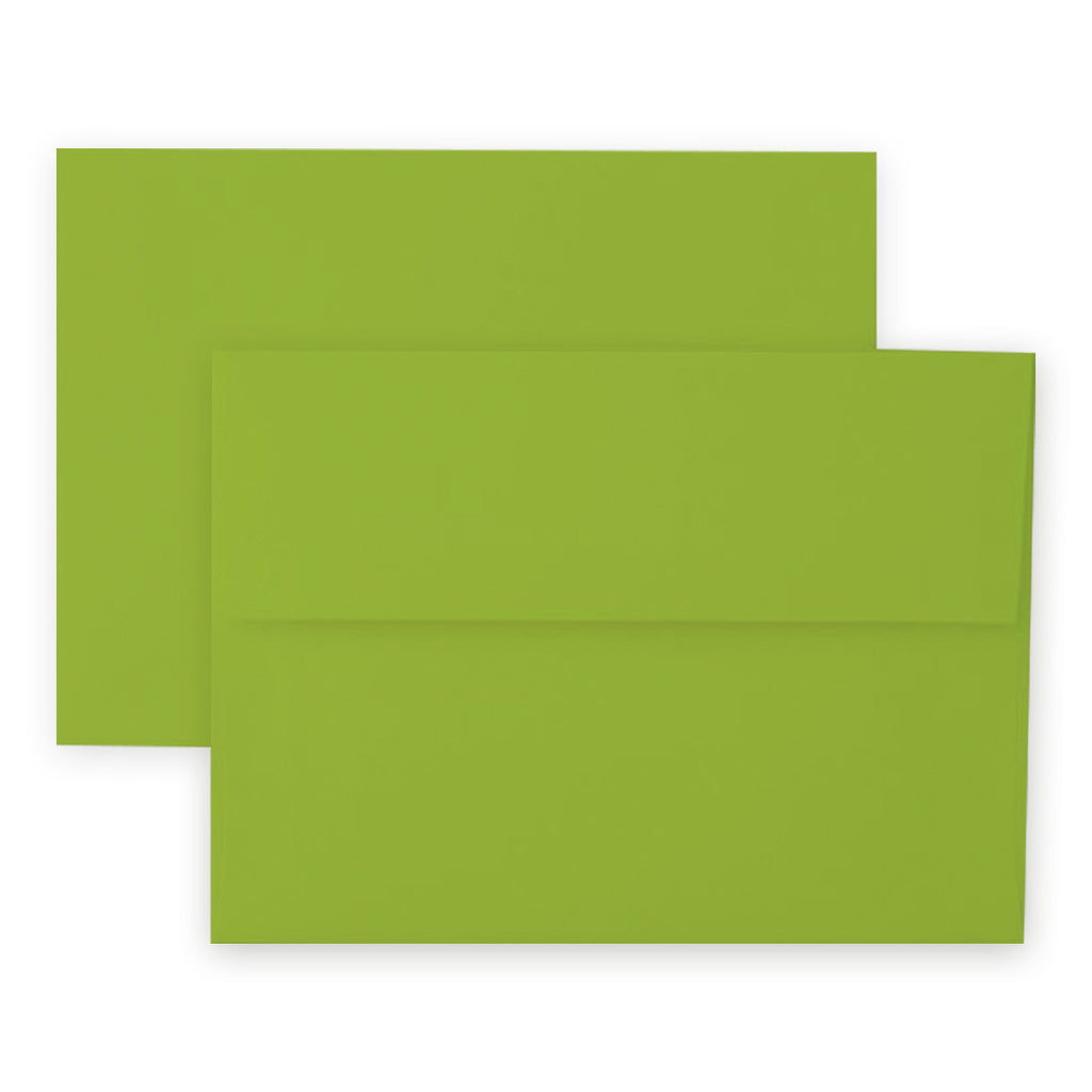 Altenew Crafty Necessities Parrot Envelopes 12 pack alt8891