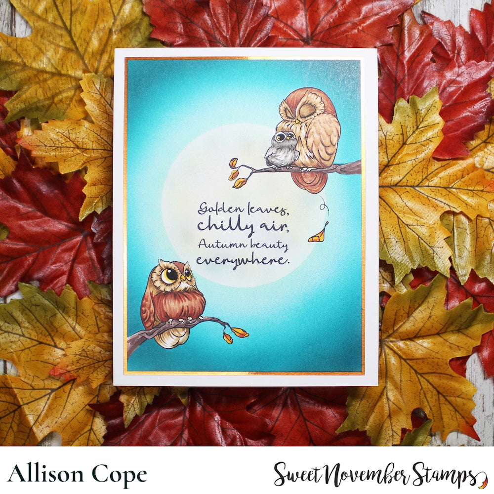 Sweet November Stamps Fall is in the Air Clear Stamp Set sns-fa-ow-23 Allison