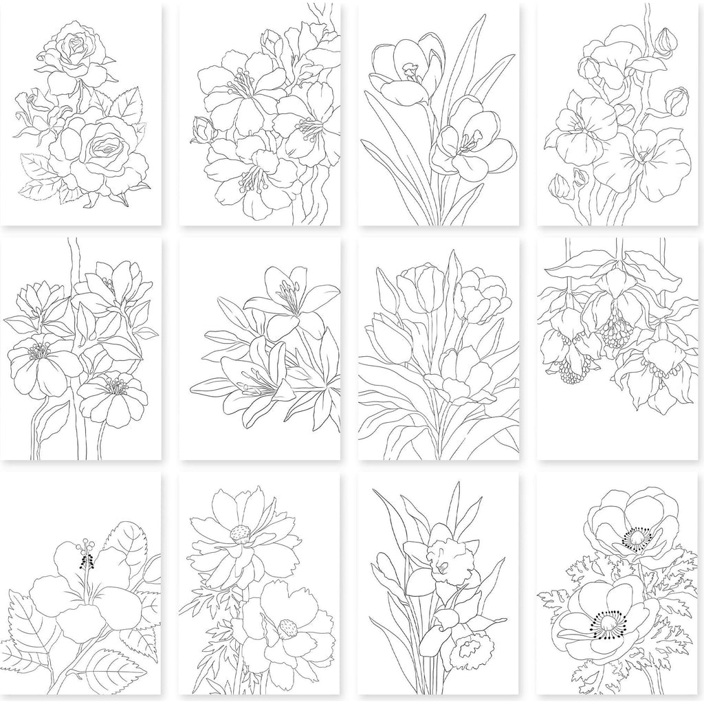 Altenew Botanical Elegance Capture the Colors of Nature Watercolor Coloring Book alt10257 product image