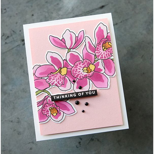 Altenew Build-A-Garden Alluring Orchids and Add-on Die Set pink | color-code:ALT03