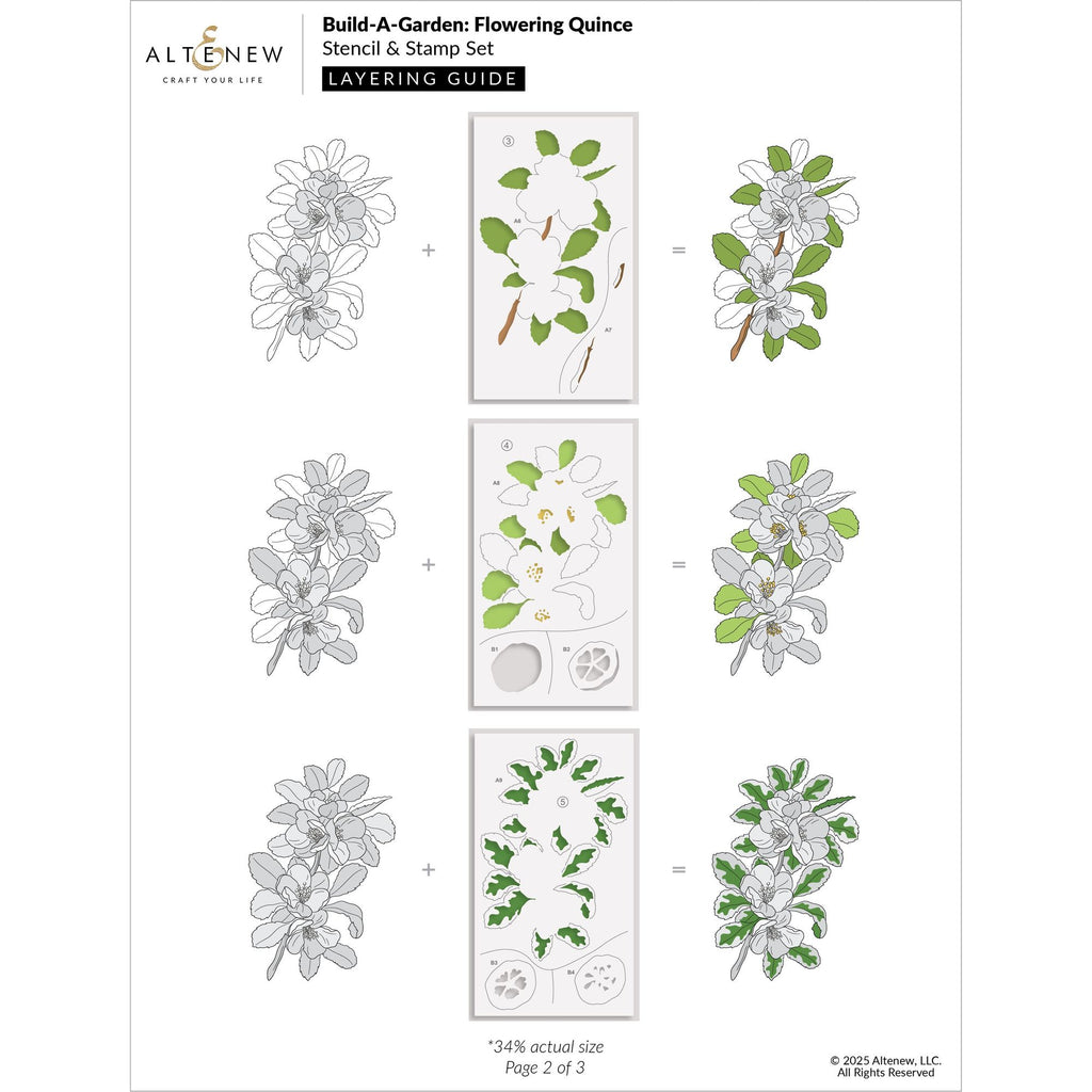 Altenew Build A Garden Flowering Quince Set alt10652bn layering guide 2