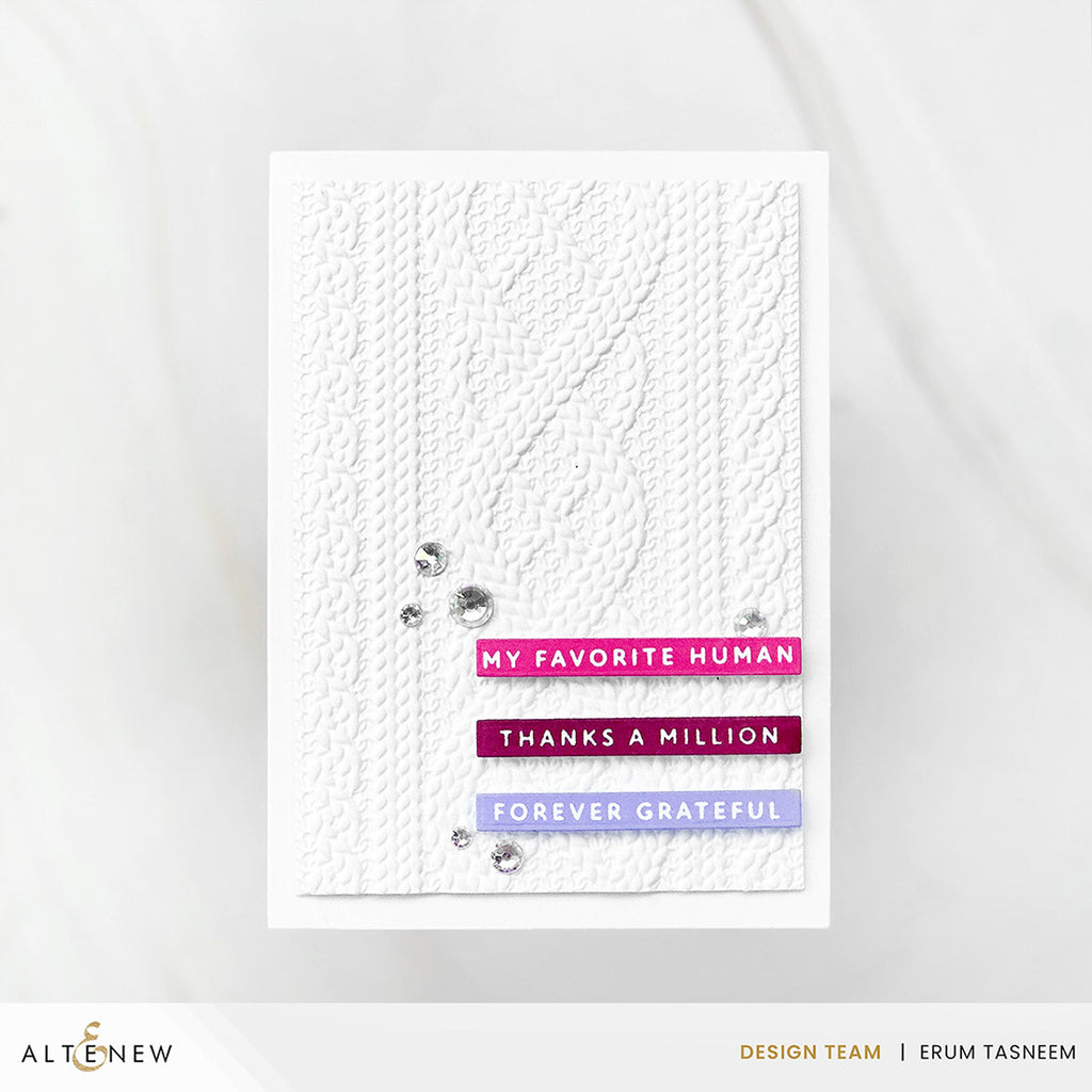 Altenew Cozy Sweater 3D Embossing Folder alt10981 thanks