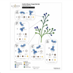 Altenew Craft A Flower Forget Me Not Layering Dies alt11346 layering guide 1