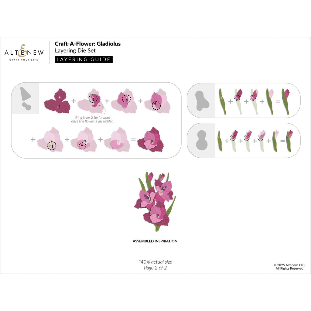 Altenew Craft A Flower Gladiolus Layering Dies alt10945 layering guide 2