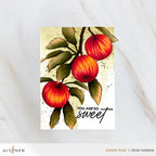 Altenew Craft Your Life Project Kit Sweet Harvest Set alt10975bn sweet
