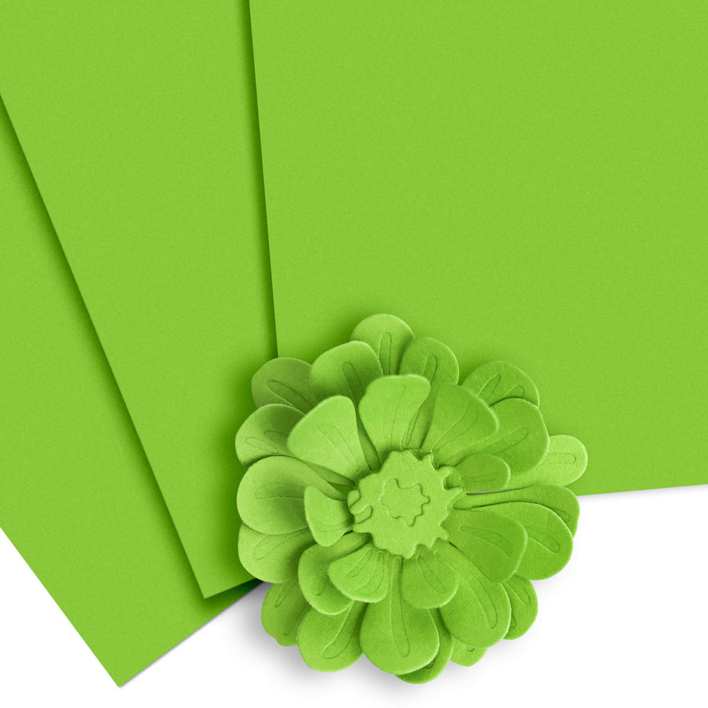 Altenew Crafty Necessities Parrot Cardstock 10 Sheet Pack alt8980