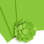 Altenew Crafty Necessities Parrot Cardstock 10 Sheet Pack alt8980