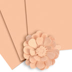 Altenew Crafty Necessities Pastel Sunrise Cardstock 10 Sheet Pack alt8954 product image