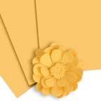 Altenew Crafty Necessities Warm Sunshine Cardstock 10 Sheet Pack alt10205