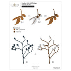 Altenew Creative Cuts Fall Pickings Layering Dies alt11567 layering guide 1