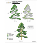 Altenew Creative Cuts Jack Pine Tree Layering Dies alt11456 layering guide 2
