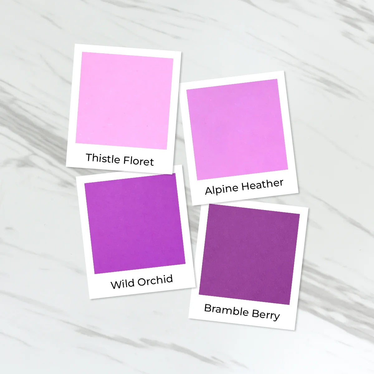 Altenew Highland Flora Fresh Dye Ink Mini Pod Set alt11473 pictures of colors