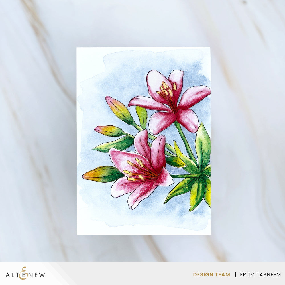 Altenew Moody Brights Watercolor Compact alt11079 lily