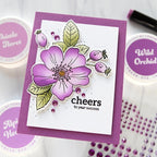 Altenew One-Go Briar Blossoms Clear Stamp, Die, Embossing Folder and Stencil Set cheers card cathy zielske | color-code:ALT01