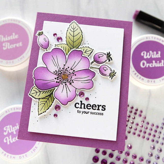 Altenew One-Go Briar Blossoms Clear Stamp, Die, Embossing Folder and Stencil Set cheers card cathy zielske | color-code:ALT01