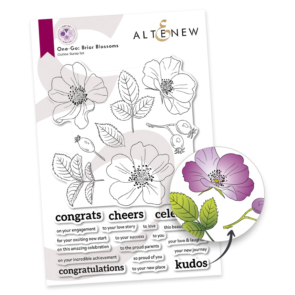 Altenew One-Go Briar Blossoms Clear Stamp, Die, Embossing Folder and Stencil Set product image 1