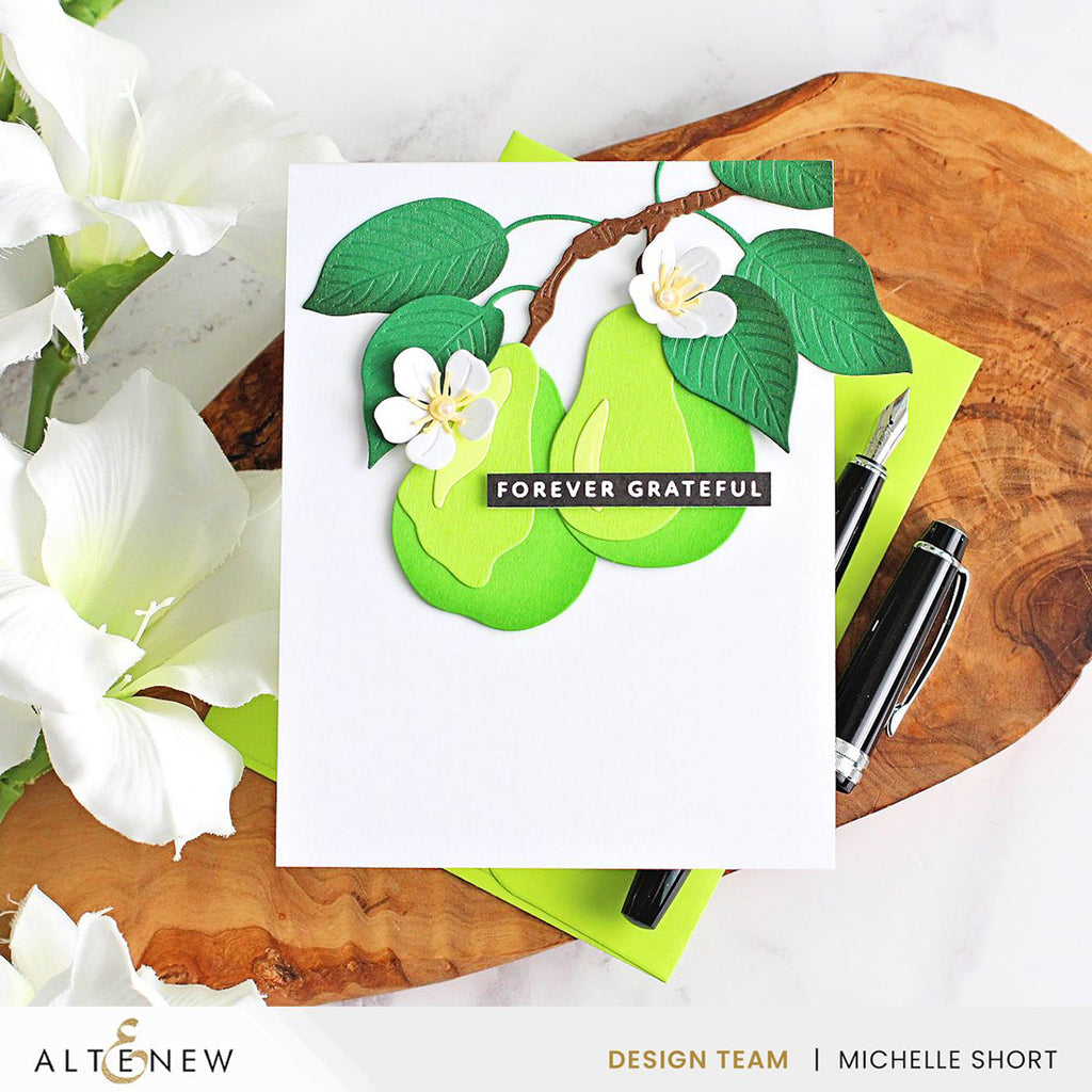 Altenew One-Go Solid Sentiment Strips 3 Press Plates alt10986 pears