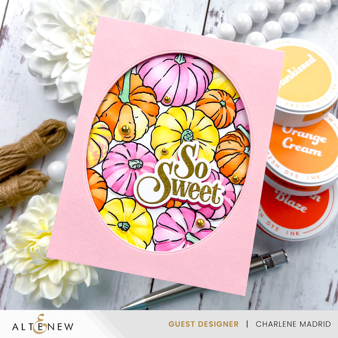 Altenew Pumpkin Patch Clear Stamp, Die, Embossing Folder, and Stencil Set so sweet