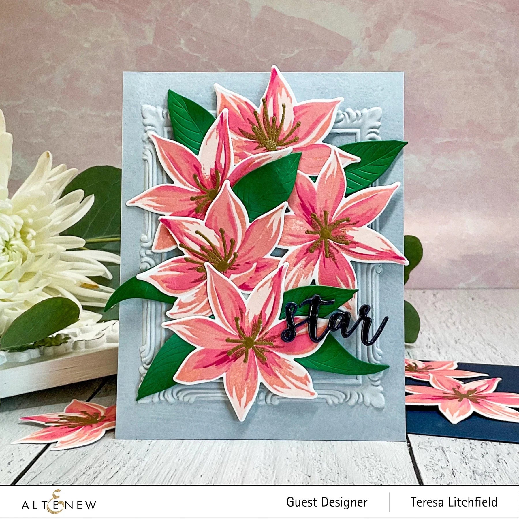 Altenew Simple Frames 3D Embossing Folder alt4874 star