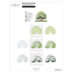 Altenew Stencil Art Strong Oak Layering Stencils alt10753 layering guide