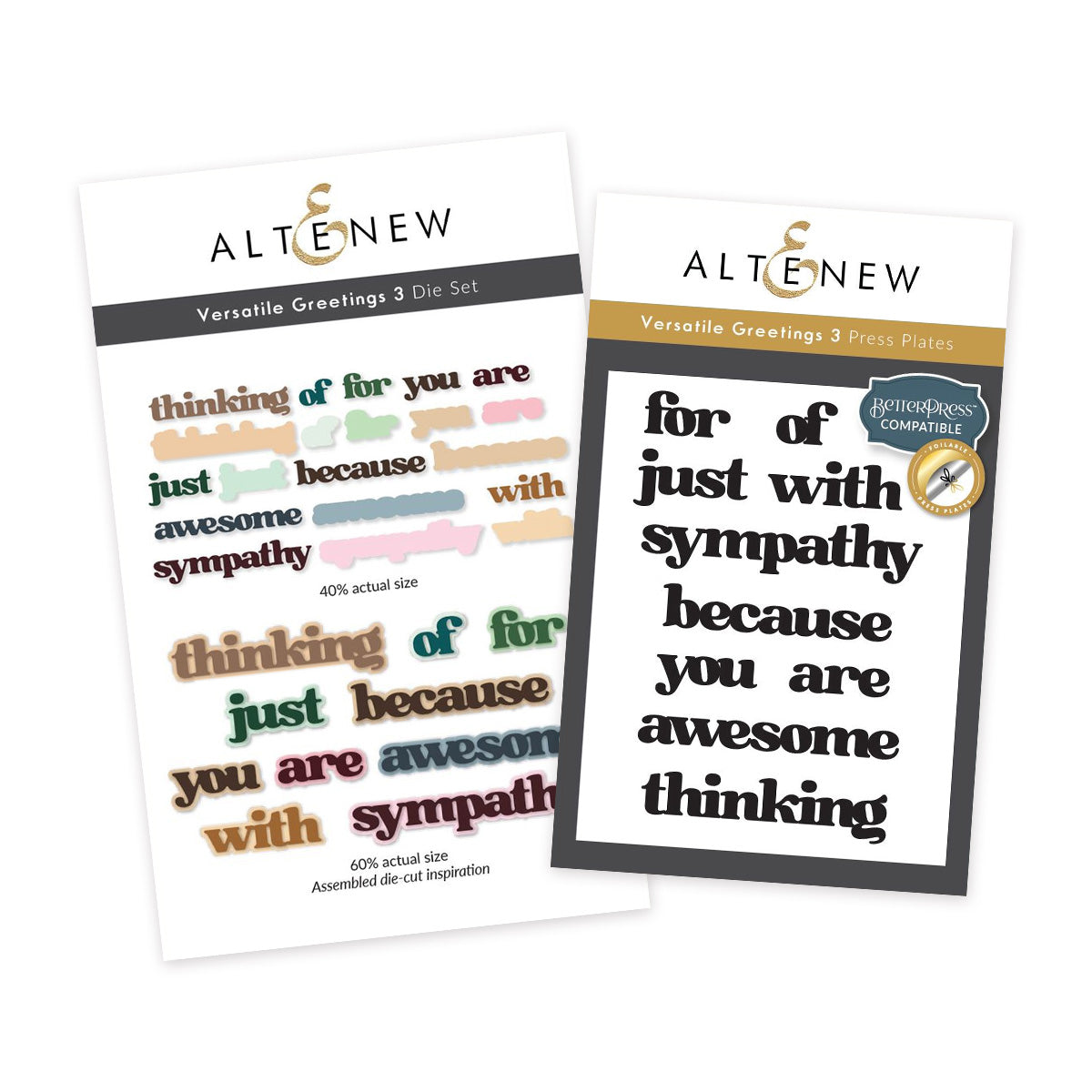 Altenew Versatile Greetings 3 Comfort Edition Die and Press Plate Set