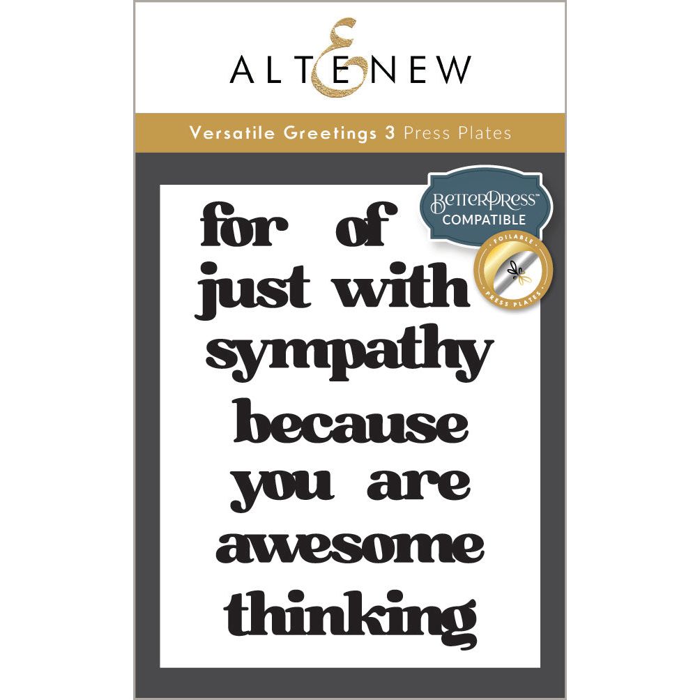 Altenew Versatile Greetings 3 Comfort Edition Die and Press Plate Set product image 2
