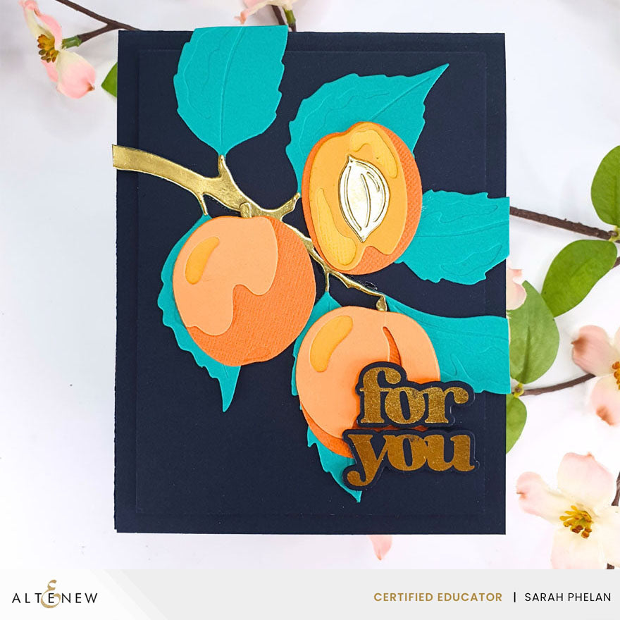Altenew Versatile Greetings 3 Comfort Edition Dies alt10883 for you
