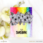 Altenew Wild One Clear Stamps alt7800 rainbow